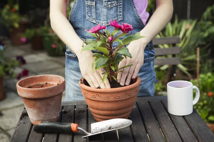 Have You Started Your Spring Projects Yet? 5 Tasks You Should Start Right Now